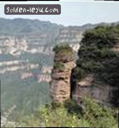 吴婷